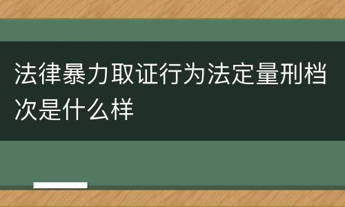 法律暴力取证行为法定量刑档次是什么样