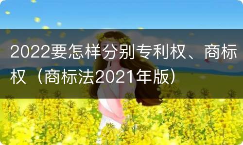 2022要怎样分别专利权、商标权（商标法2021年版）