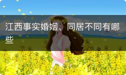 江西事实婚姻、同居不同有哪些