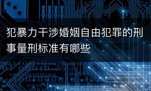犯暴力干涉婚姻自由犯罪的刑事量刑标准有哪些