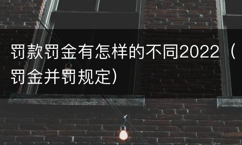 罚款罚金有怎样的不同2022（罚金并罚规定）