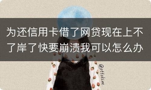 为还信用卡借了网贷现在上不了岸了快要崩溃我可以怎么办