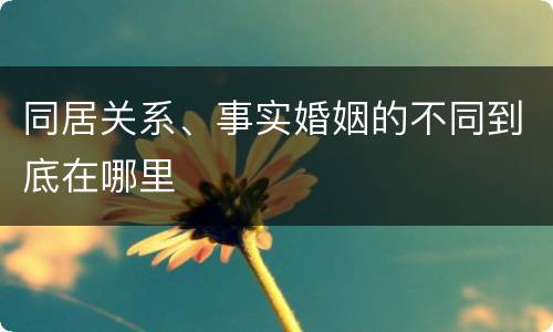 同居关系、事实婚姻的不同到底在哪里