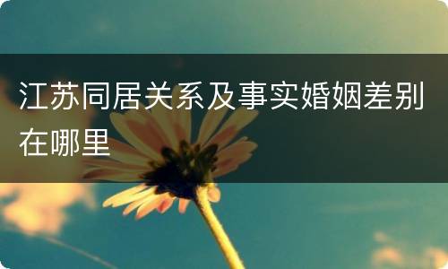 江苏同居关系及事实婚姻差别在哪里