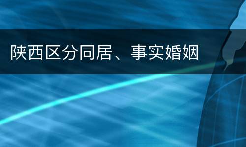 陕西区分同居、事实婚姻