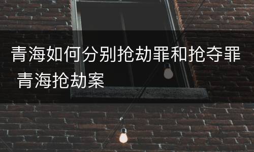 青海如何分别抢劫罪和抢夺罪 青海抢劫案
