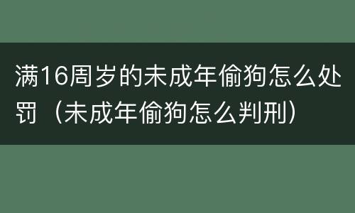 满16周岁的未成年偷狗怎么处罚（未成年偷狗怎么判刑）
