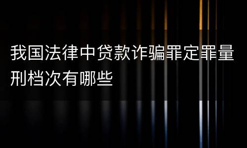 我国法律中贷款诈骗罪定罪量刑档次有哪些