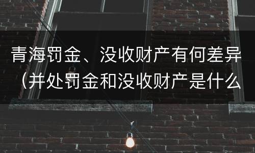 青海罚金、没收财产有何差异（并处罚金和没收财产是什么意思）