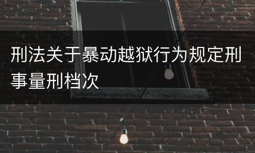 刑法关于暴动越狱行为规定刑事量刑档次