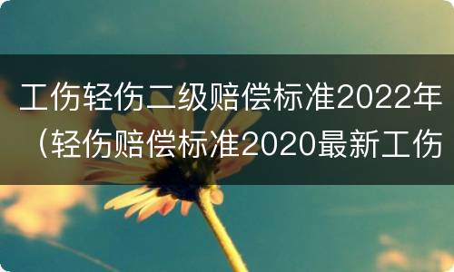 工伤轻伤二级赔偿标准2022年（轻伤赔偿标准2020最新工伤赔偿标准）
