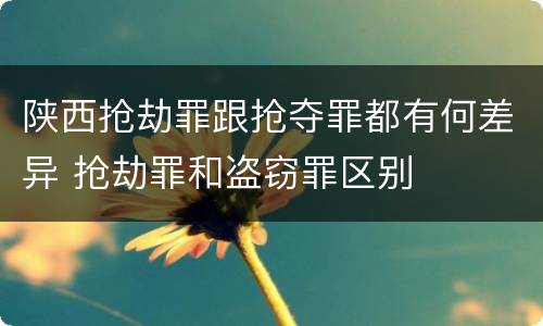 陕西抢劫罪跟抢夺罪都有何差异 抢劫罪和盗窃罪区别