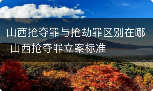 山西抢夺罪与抢劫罪区别在哪 山西抢夺罪立案标准