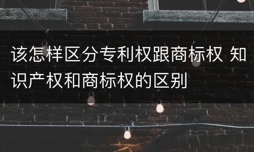 该怎样区分专利权跟商标权 知识产权和商标权的区别