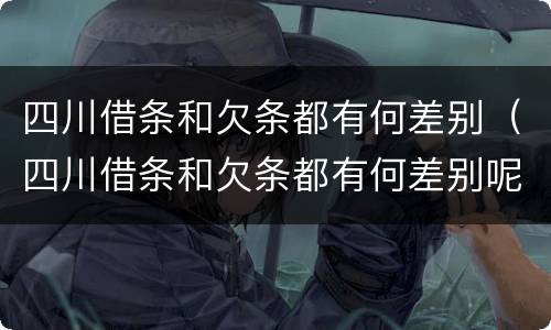 四川借条和欠条都有何差别（四川借条和欠条都有何差别呢）