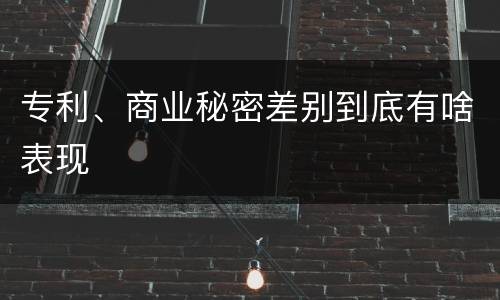 专利、商业秘密差别到底有啥表现