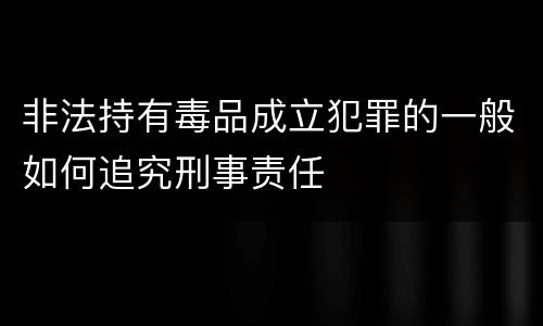 非法持有毒品成立犯罪的一般如何追究刑事责任