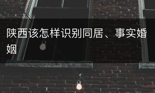 陕西该怎样识别同居、事实婚姻