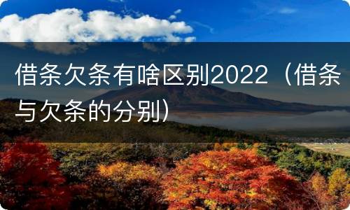 借条欠条有啥区别2022（借条与欠条的分别）