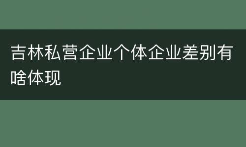 吉林私营企业个体企业差别有啥体现