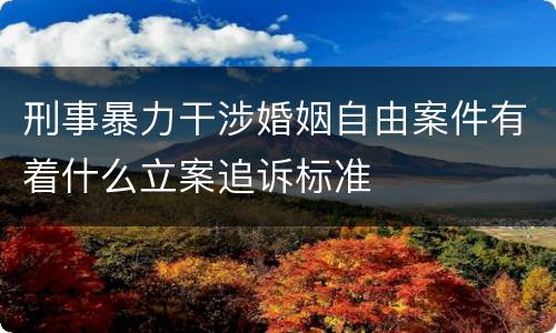 刑事暴力干涉婚姻自由案件有着什么立案追诉标准