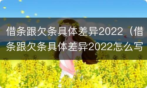借条跟欠条具体差异2022（借条跟欠条具体差异2022怎么写）