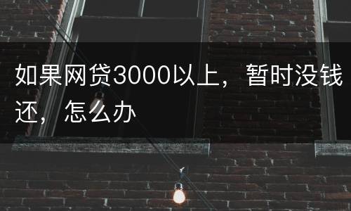 如果网贷3000以上，暂时没钱还，怎么办