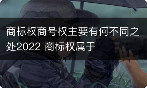 商标权商号权主要有何不同之处2022 商标权属于