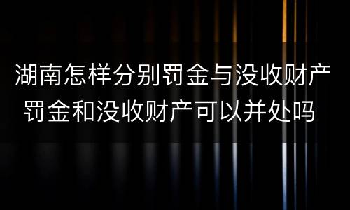 湖南怎样分别罚金与没收财产 罚金和没收财产可以并处吗