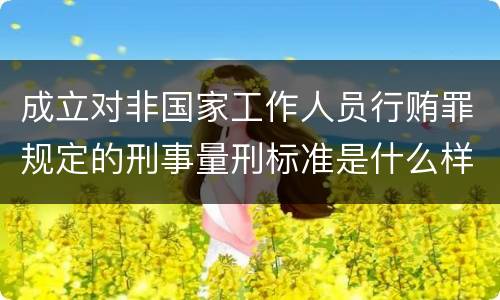 成立对非国家工作人员行贿罪规定的刑事量刑标准是什么样的