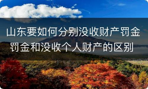 山东要如何分别没收财产罚金 罚金和没收个人财产的区别