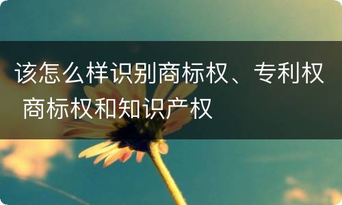 该怎么样识别商标权、专利权 商标权和知识产权