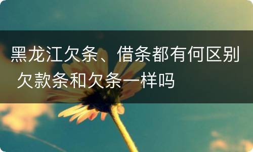 黑龙江欠条、借条都有何区别 欠款条和欠条一样吗