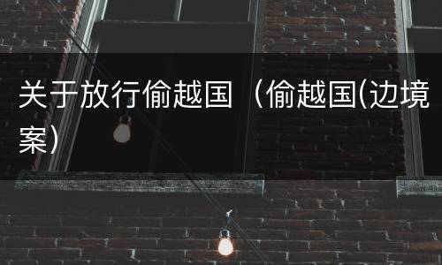 关于放行偷越国（偷越国(边境案）