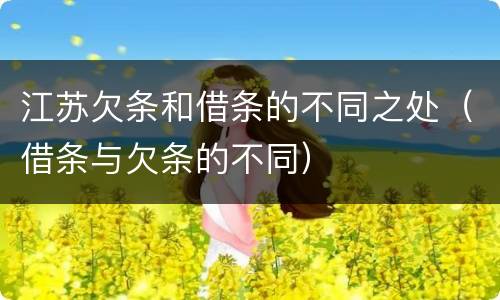 江苏欠条和借条的不同之处（借条与欠条的不同）