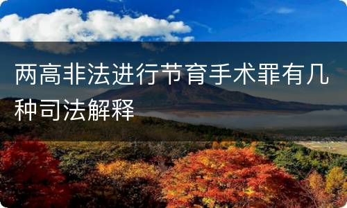 两高非法进行节育手术罪有几种司法解释