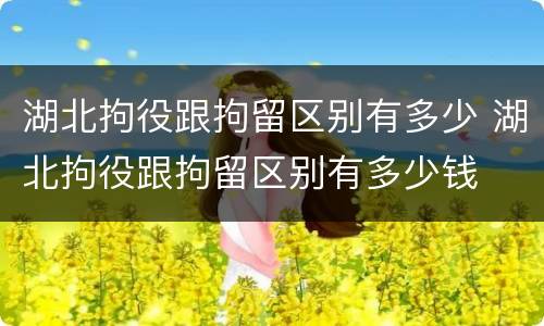 湖北拘役跟拘留区别有多少 湖北拘役跟拘留区别有多少钱