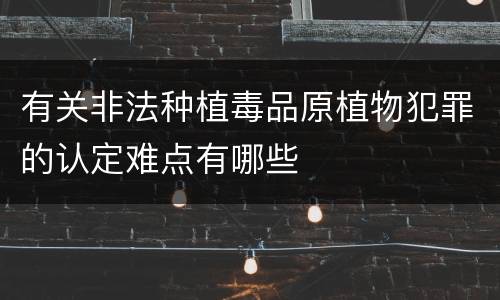 有关非法种植毒品原植物犯罪的认定难点有哪些