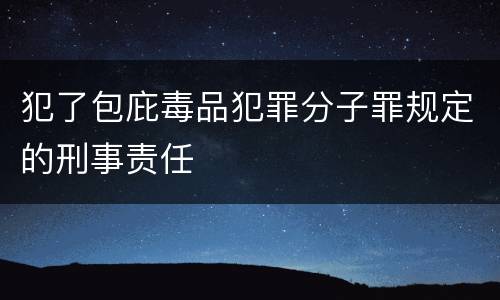 犯了包庇毒品犯罪分子罪规定的刑事责任