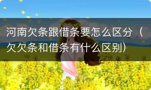 河南欠条跟借条要怎么区分（欠欠条和借条有什么区别）