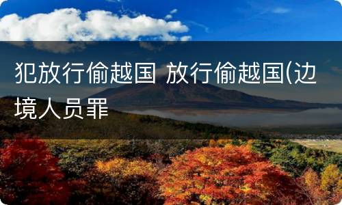 犯放行偷越国 放行偷越国(边境人员罪