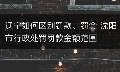 辽宁如何区别罚款、罚金 沈阳市行政处罚罚款金额范围
