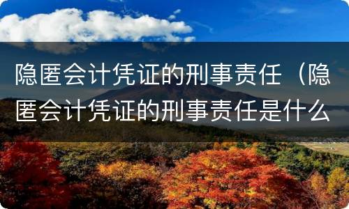 隐匿会计凭证的刑事责任（隐匿会计凭证的刑事责任是什么）