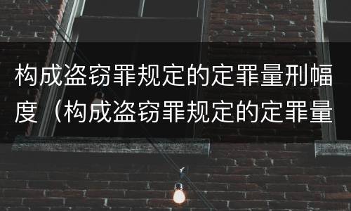 构成盗窃罪规定的定罪量刑幅度（构成盗窃罪规定的定罪量刑幅度是）