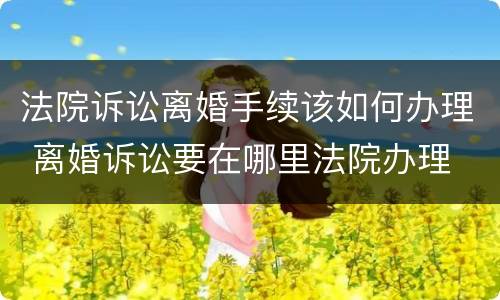 法院诉讼离婚手续该如何办理 离婚诉讼要在哪里法院办理
