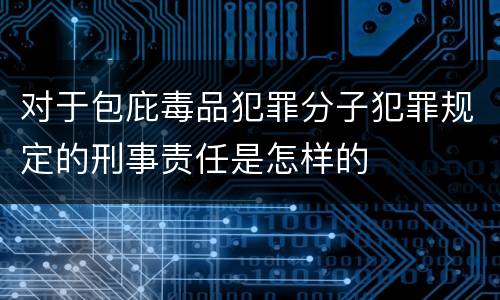 对于包庇毒品犯罪分子犯罪规定的刑事责任是怎样的