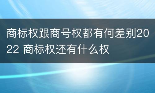 商标权跟商号权都有何差别2022 商标权还有什么权