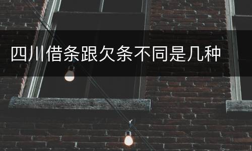 四川借条跟欠条不同是几种