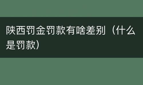 陕西罚金罚款有啥差别（什么是罚款）