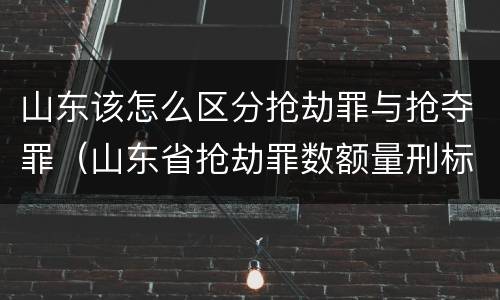 山东该怎么区分抢劫罪与抢夺罪（山东省抢劫罪数额量刑标准）